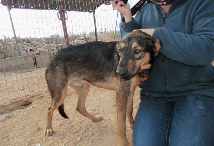 Sambu adopté le 14.12.16 Sambu adopté le 14.12.16
