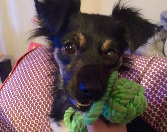 Bimba adoptée le 16.02.2016