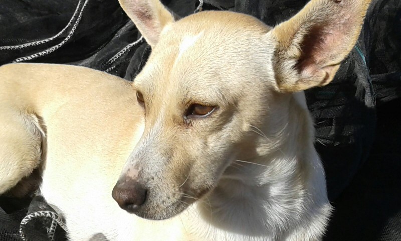 Lolo8