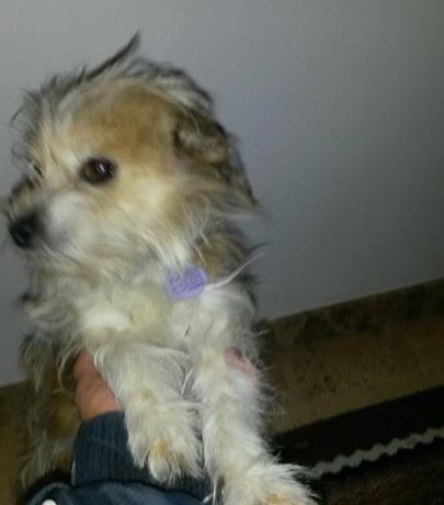 Loula-Cuca  adoptée le 19 avril