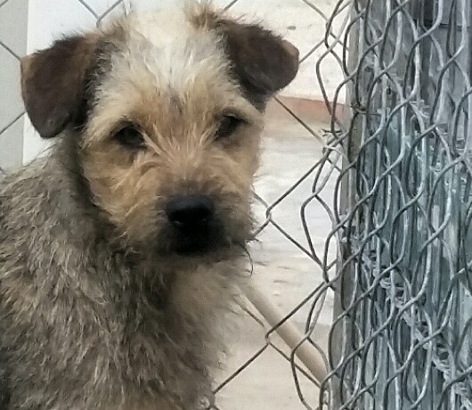Fredi adopté le 14.12.16