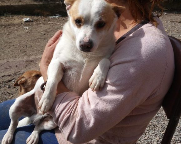 Paquito adopté le13.05.17
