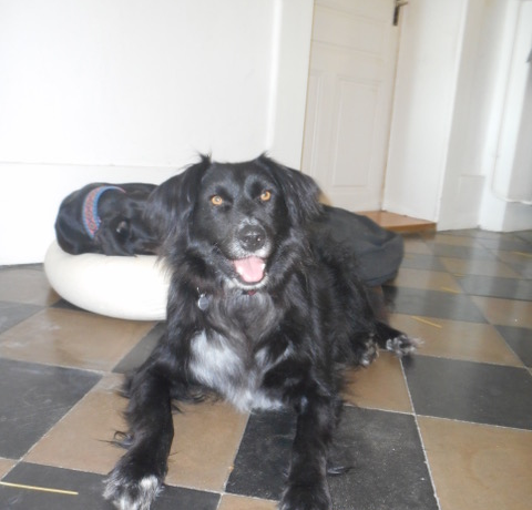 Dali adopté 30.09.18