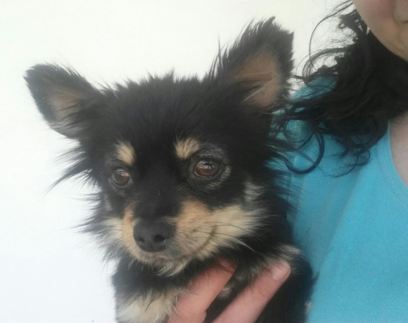 Peki adoptée le 13.05.17