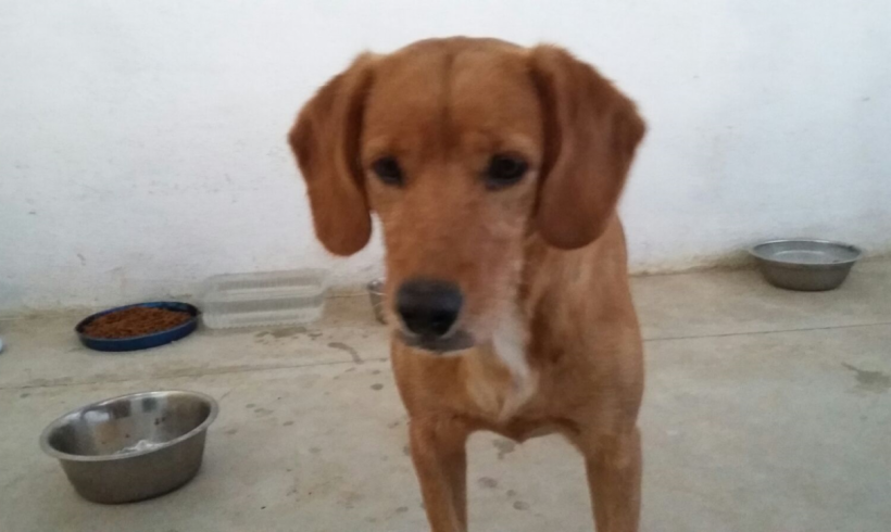 Bimba adoptée 14.03.18 Bimba adoptée 14.03.18