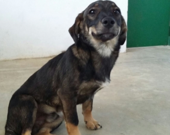 Budy adopté 30.09.17