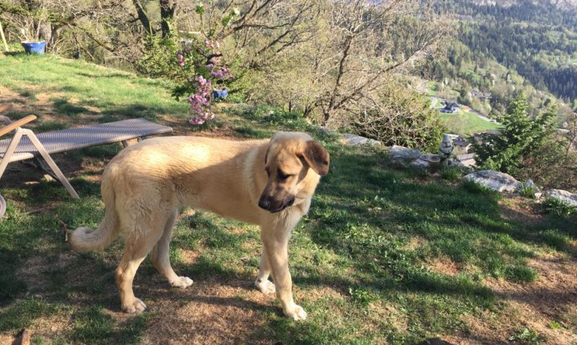 Ares adopté 27.05.2018 Ares adopté 27.05.2018