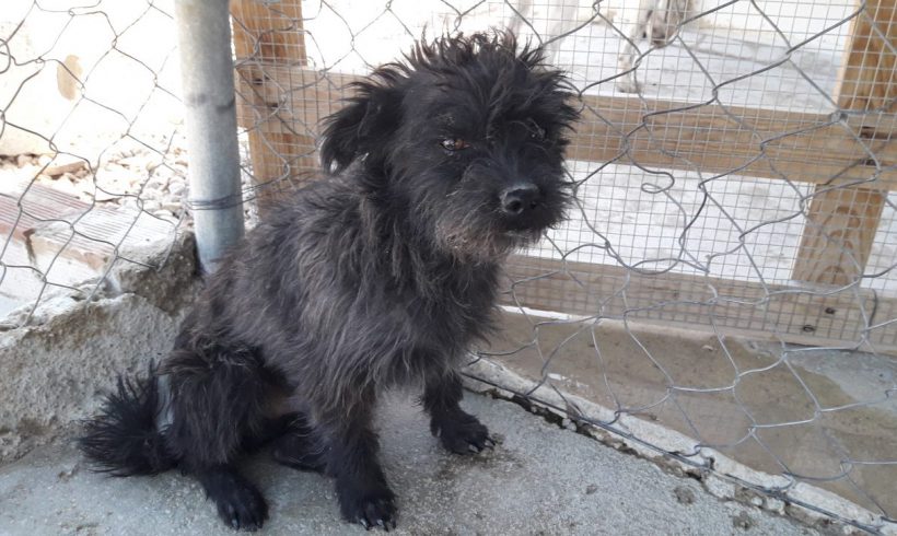 Aïtor adopté le 13.12.17 Aïtor adopté le 13.12.17