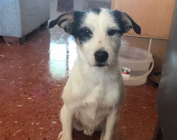Ken adopté 16.02.18