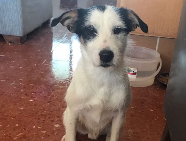 Ken adopté 16.02.18 Ken adopté 16.02.18