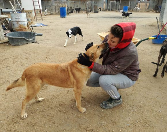 Lucky adopté 28.04.18