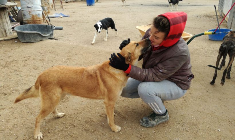 Lucky adopté 28.04.18 Lucky adopté 28.04.18