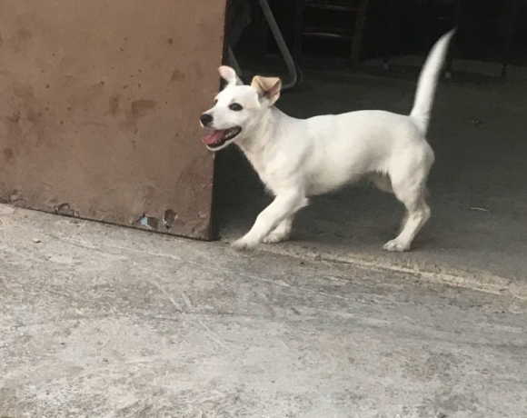 Winky adopté 01.12.18