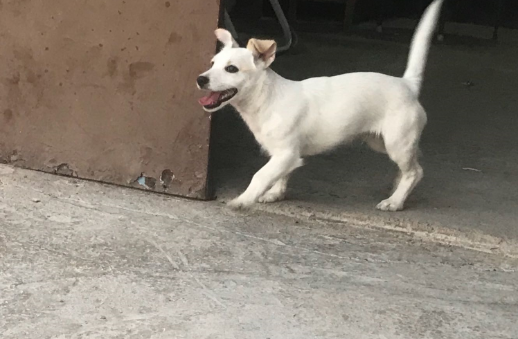 Winky adopté 01.12.18 Winky adopté 01.12.18