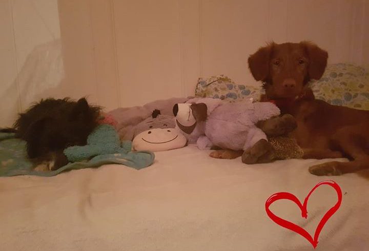 Astro adopté 01.12.18 Astro adopté 01.12.18