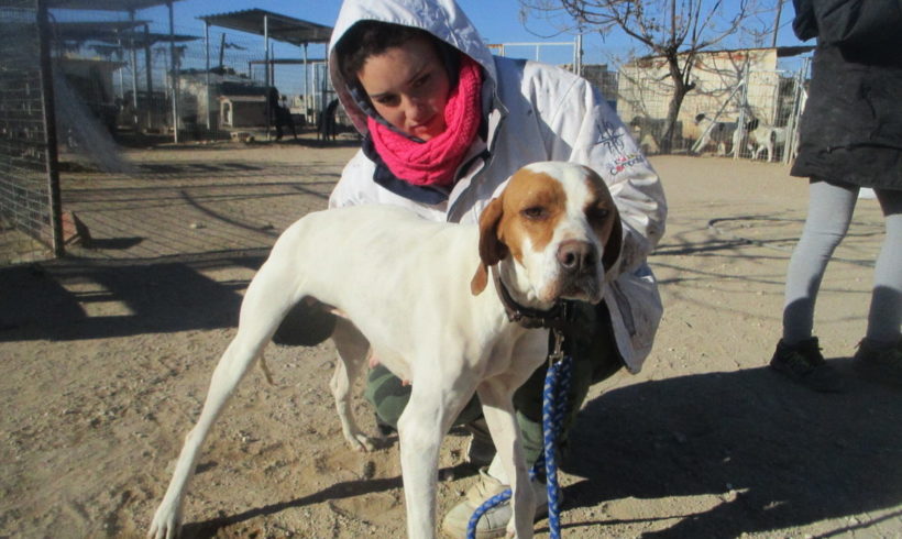 Lira adoptée 12.10.19 Lira adoptée 12.10.19