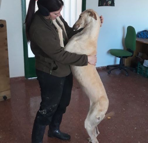 Ria adoptée 22.06.19 Ria adoptée 22.06.19