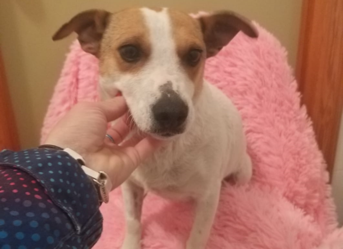 Tila adoptée 22.06.19