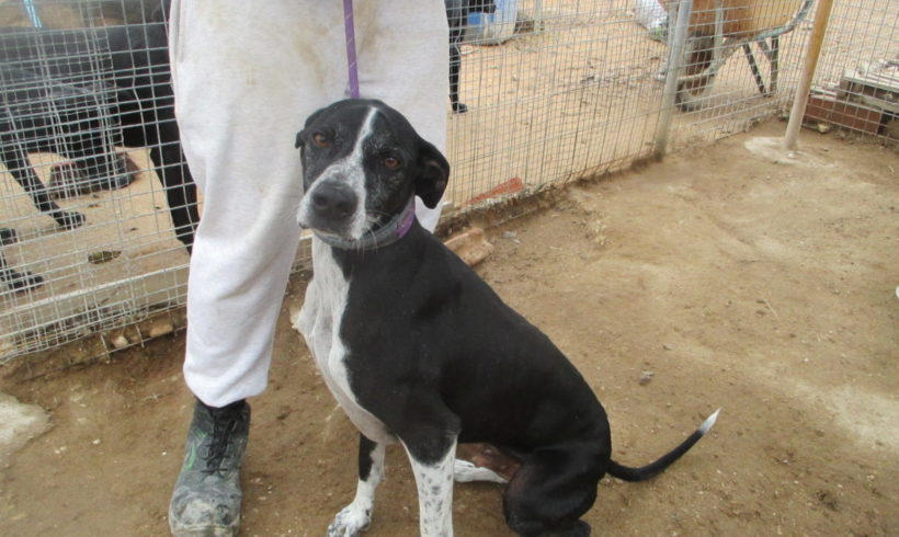 Terryn adopté (dcd 22.01.21)