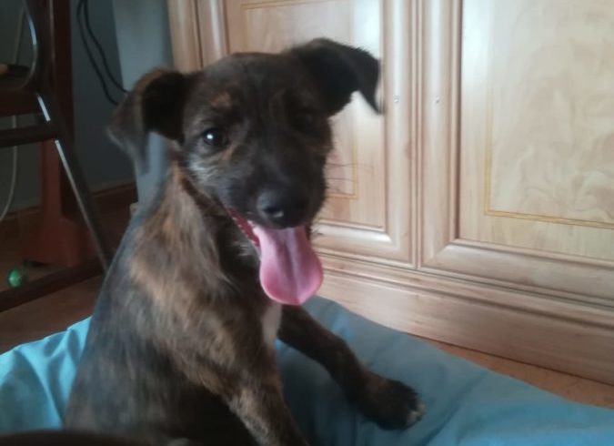 Timon-Shaman adopté 12.10.19 Timon-Shaman adopté 12.10.19