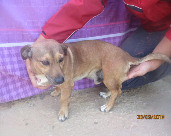 Casillas adopté 7.12.19