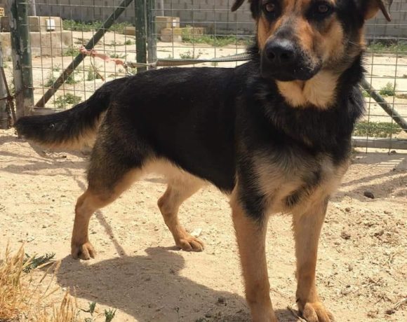 Mia adoptée 27.06.20