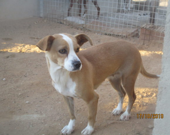 Taty adoptée 7.12.19