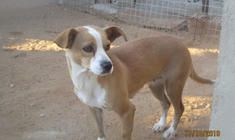 Taty adoptée 7.12.19 Taty adoptée 7.12.19