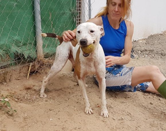 Diciembre adopté 29.05.21