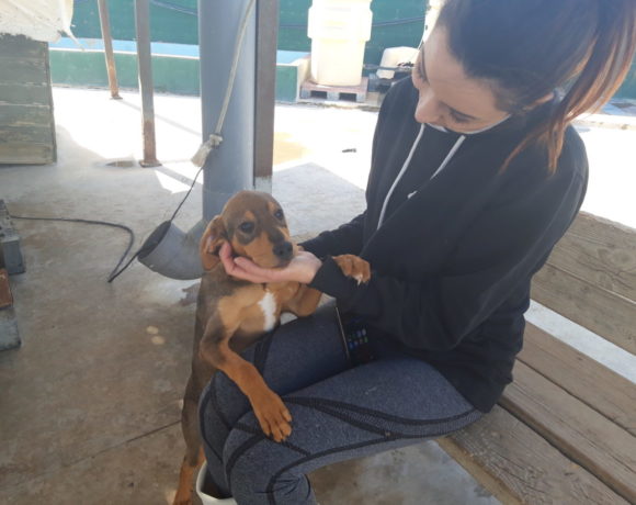 Jalisco adopté 27.06.20