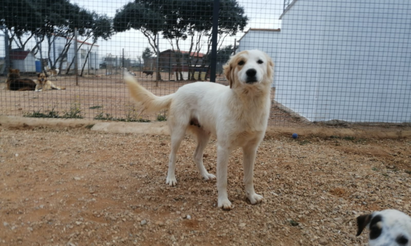 Heidi Heidi