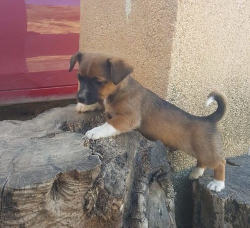 Tuno adopté 27.06.20