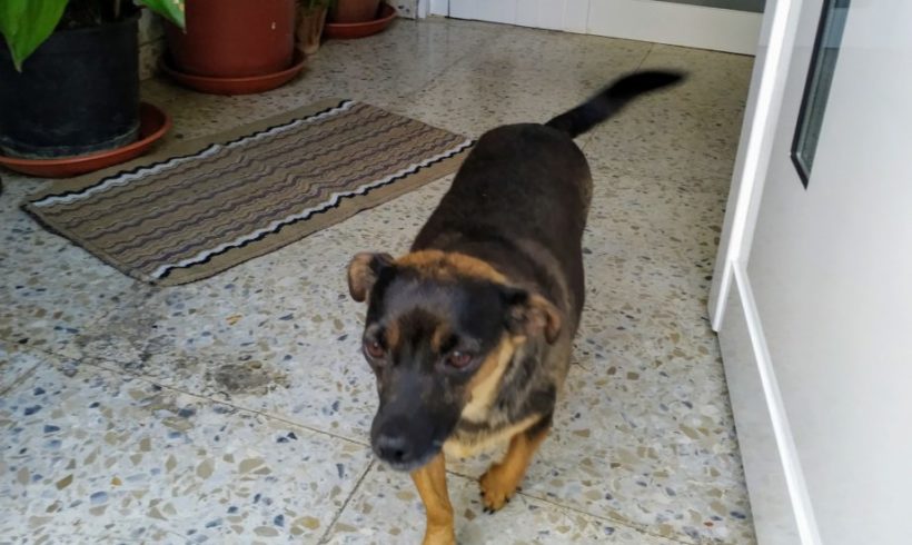 Yudit adoptée 19.12.2020 Yudit adoptée 19.12.2020