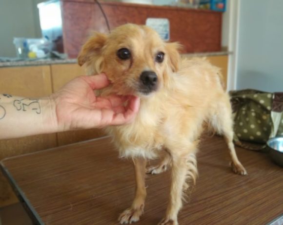 Estela-Emmi adoptée 13.03.21