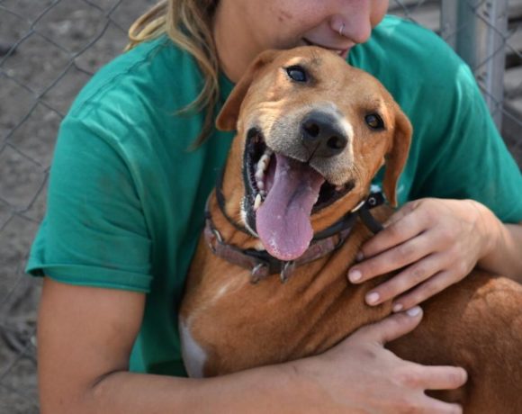 Cuki adoptée 23.01.2021