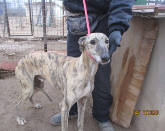 Loto adopté 13.03.21