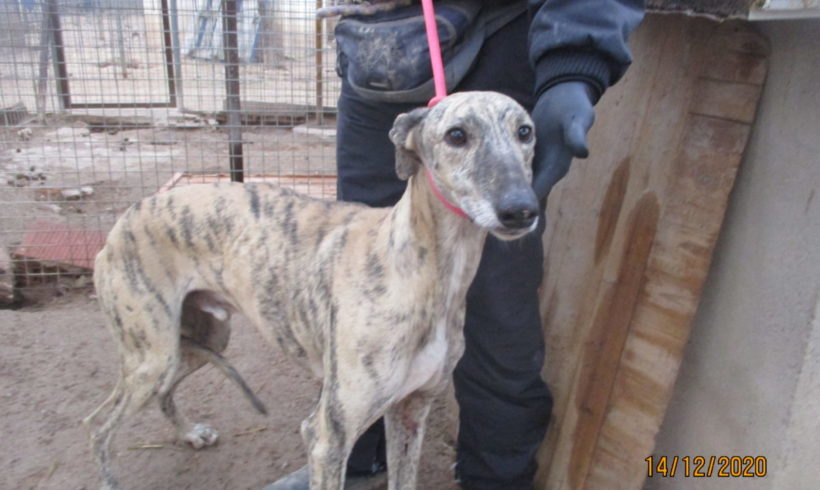 Loto adopté 13.03.21 Loto adopté 13.03.21