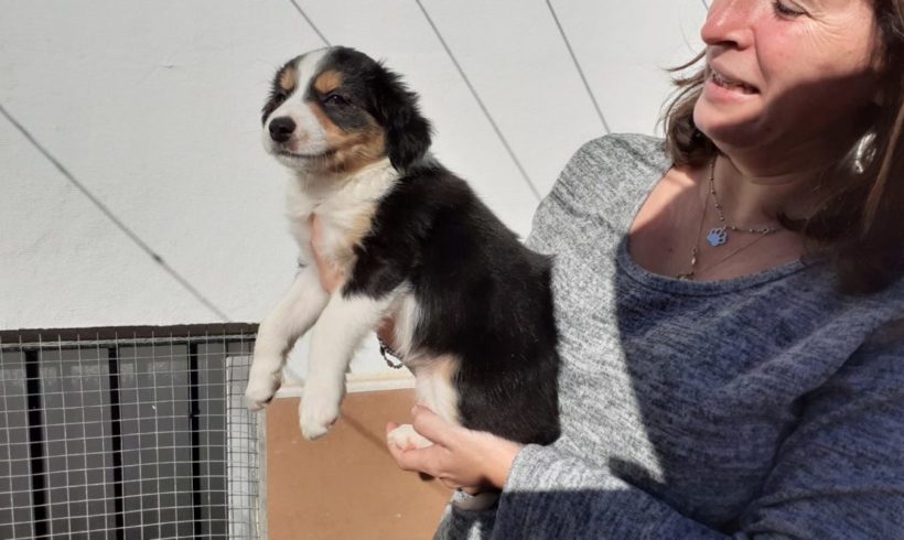 Lua adoptée 13.03.21 Lua adoptée 13.03.21