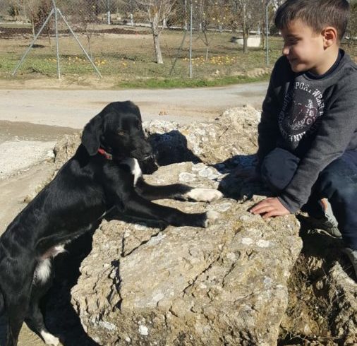 Golfo adopté 13.03.21 Golfo adopté 13.03.21