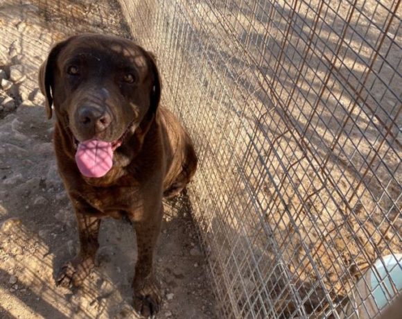 Brown-Max adopté 29.05.21