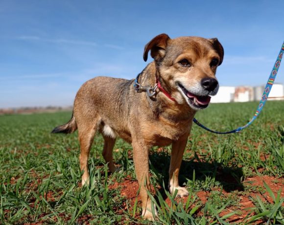 Leno adopté 21.05.22