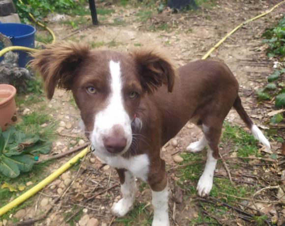 Paton adopté 21.05.22