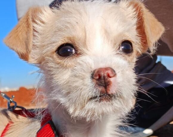 Kaia adoptée 17.02.24