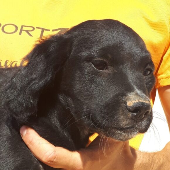 Milo adopté 14.06.25