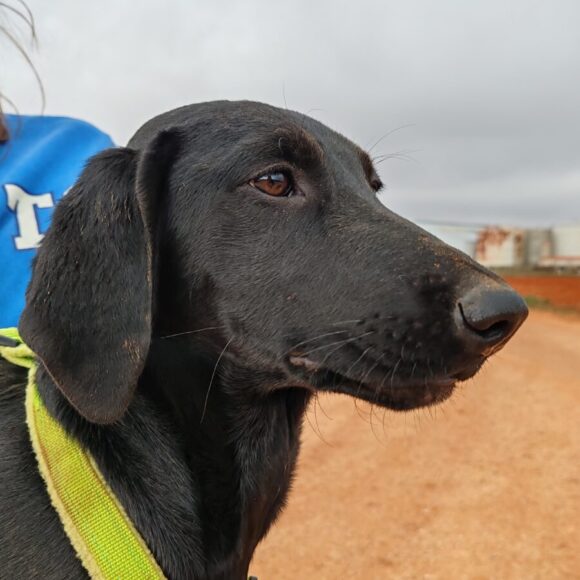 Oceania adoptée 26.07.2025