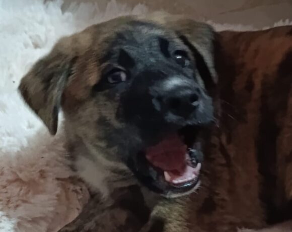 Zeus – urgence Zeus – urgence