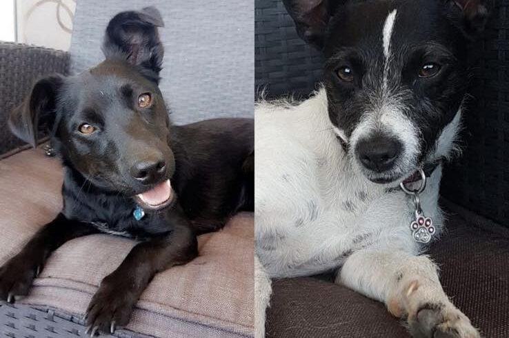 Lany & Mia – URGENCE