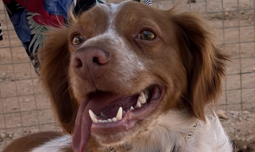 Cody Cody